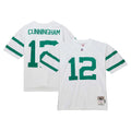 Philadelphia Eagles Randall Cunningham White Legacy Replica Jersey