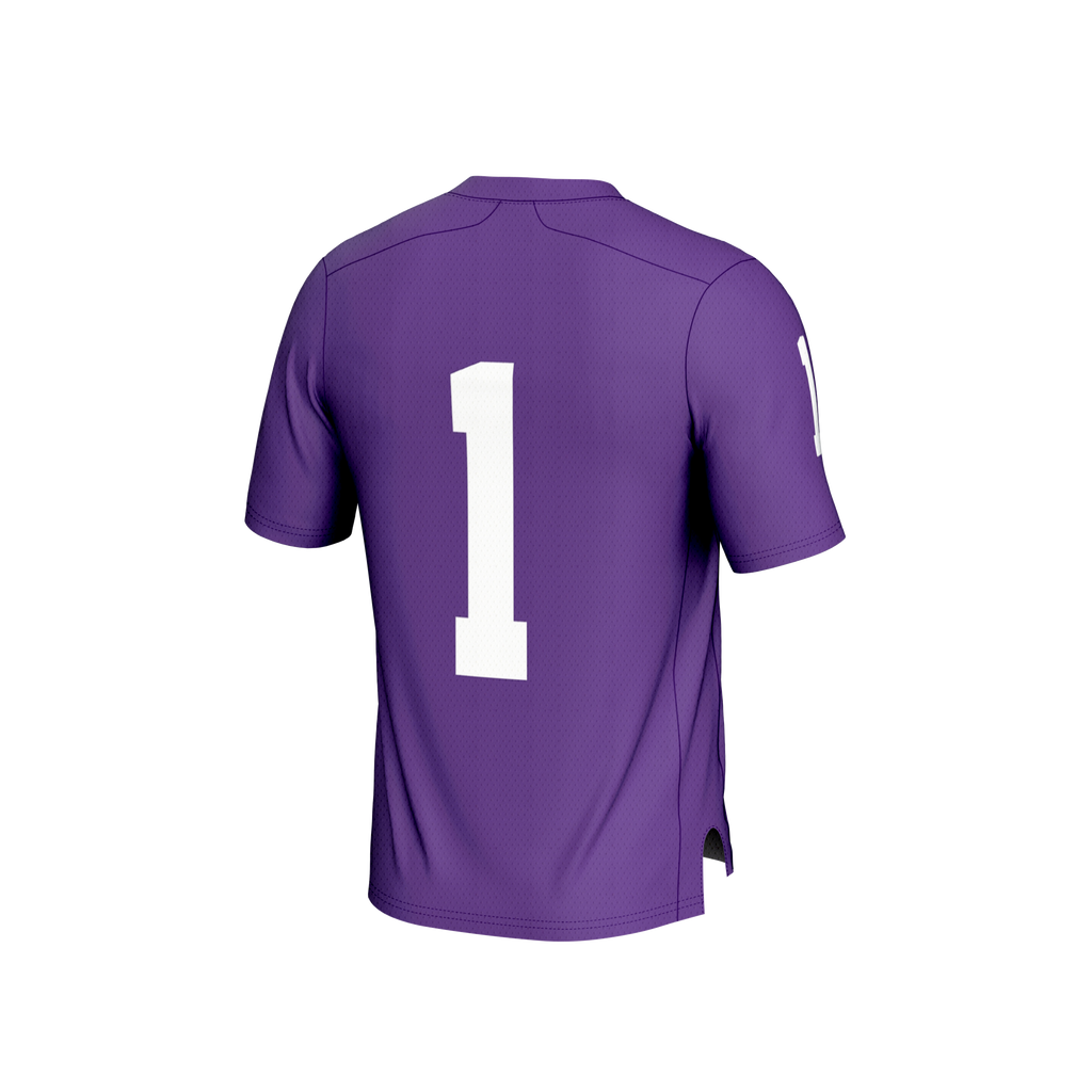 #1 Furman Paladins Lightweight Football Fashion Jersey - Purple