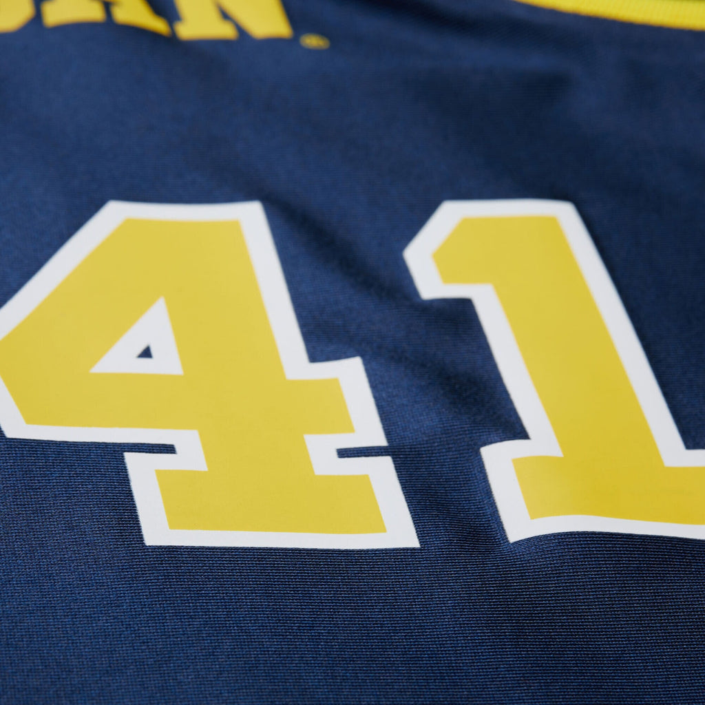 Glen Rice Navy Michigan Wolverines 1988/89 Authentic Jersey
