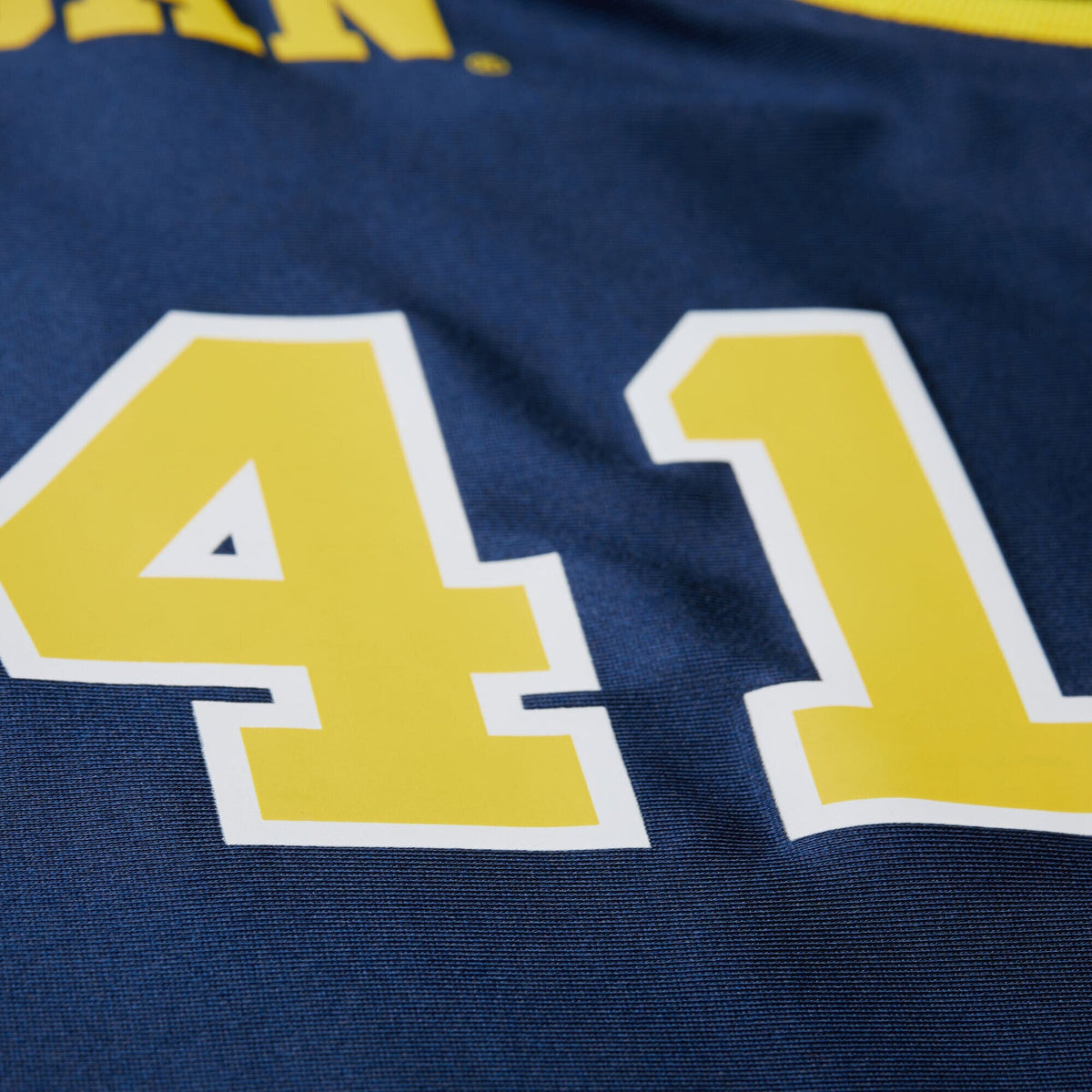 Glen Rice Navy Michigan Wolverines 1988/89 Authentic Jersey