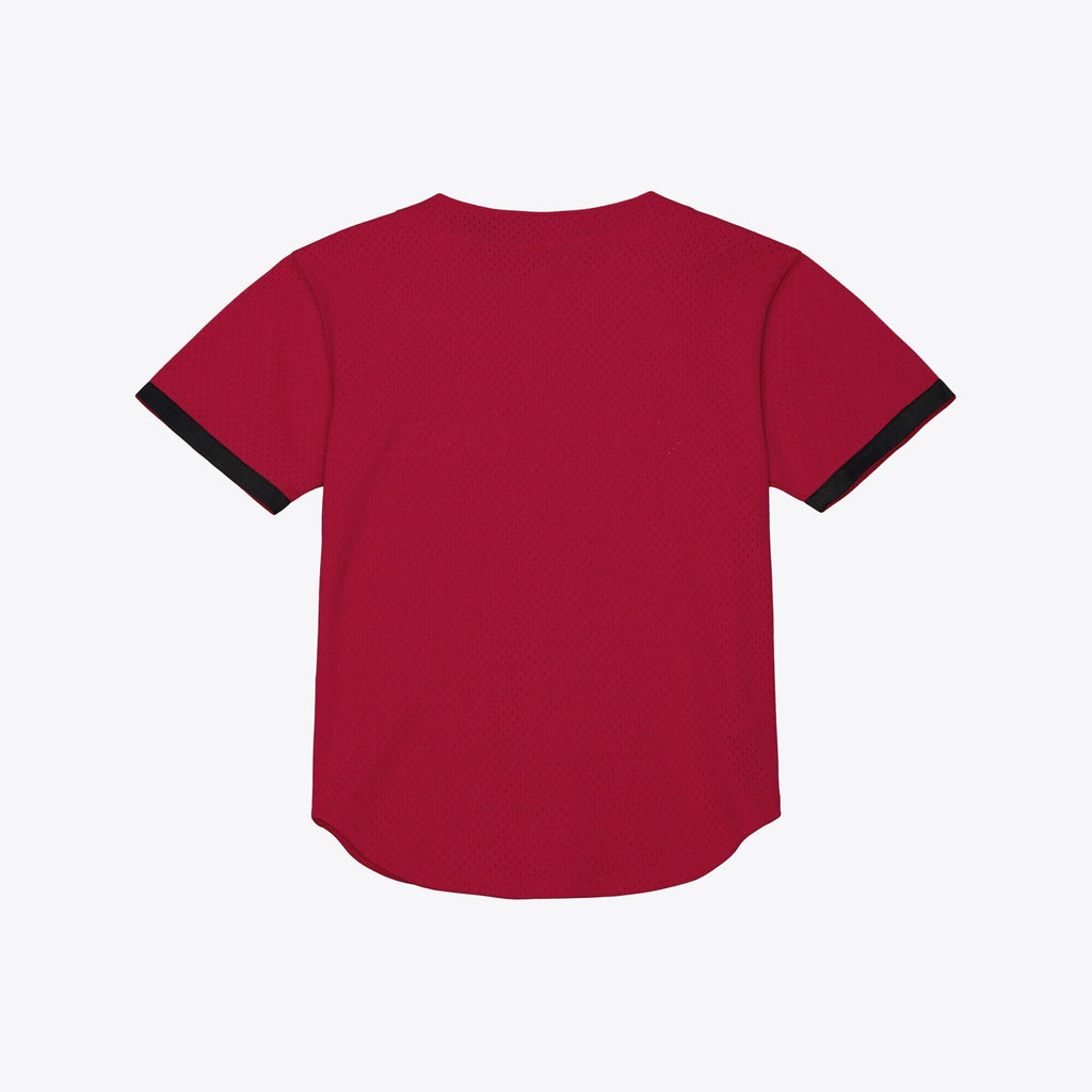 Arkansas Razorbacks Mesh Button-Up Batting Practice Baseball Jersey - Cardinal