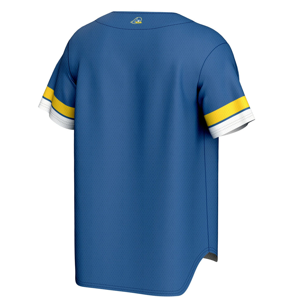 Delaware Fightin' Blue Hens Spirit Baseball Jersey - Royal