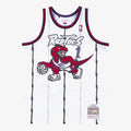 Toronto Raptors Swingman Jersey Tracy McGrady 1998-99