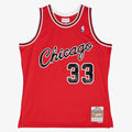 Chicago Bulls Alternate Jersey