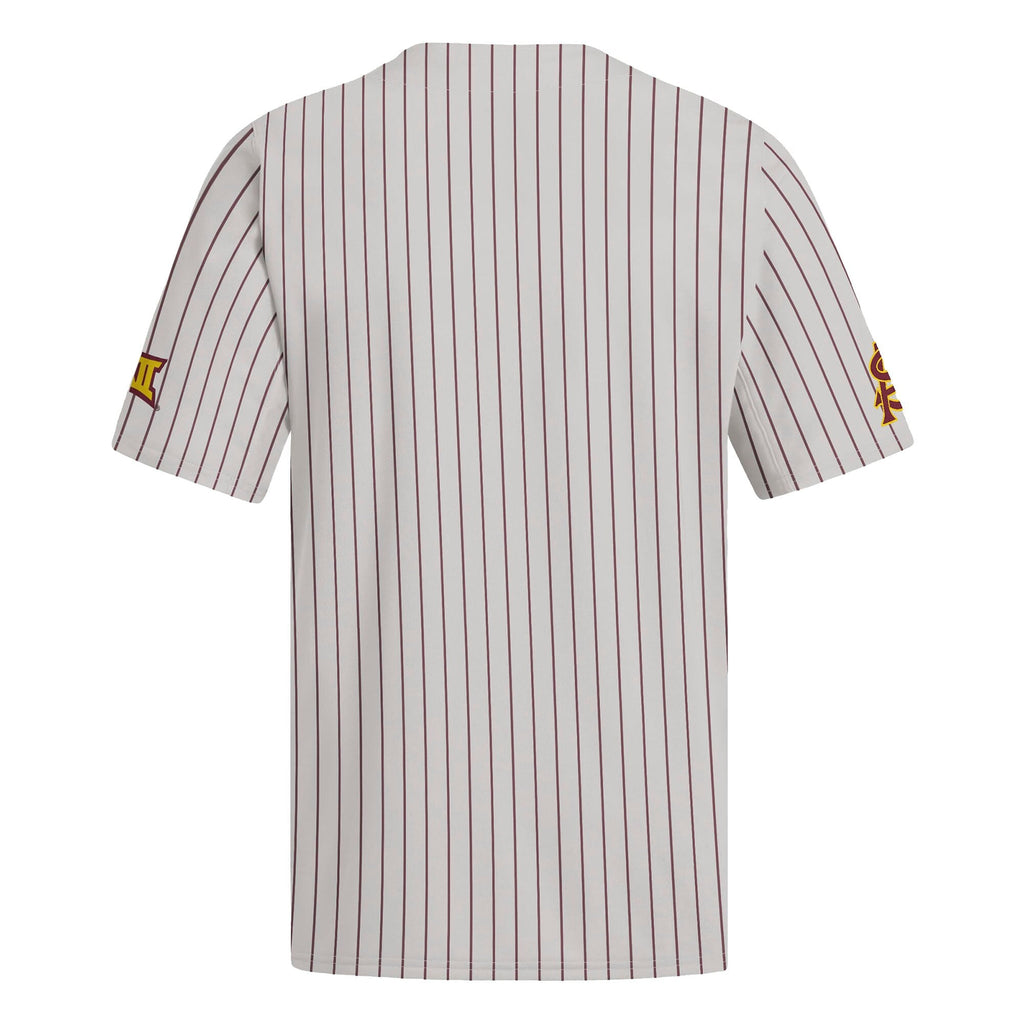 Gray Arizona State Sun Devils Alternate Replica Baseball Jersey